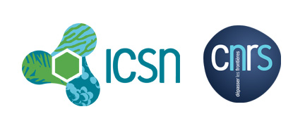 ICSN CNRS